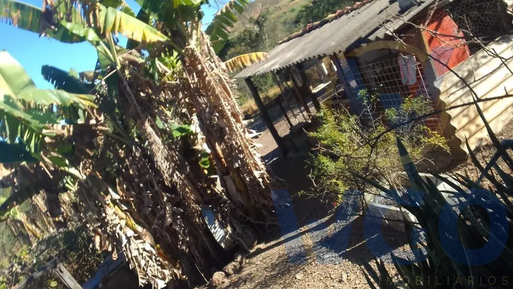 Chácara, 3 quartos, 10000 m² - Foto 10