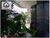 Apartamento, 3 quartos, 172 m² - Foto 1