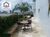 Apartamento, 3 quartos, 202 m² - Foto 4