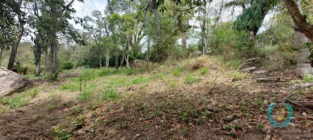 Chácara, 3 quartos, 2538 m² - Foto 18