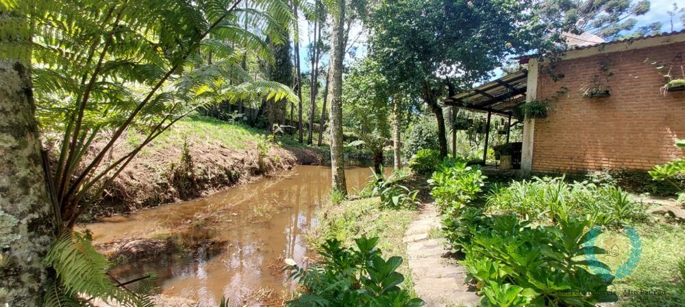 Sítio à venda com 4 quartos, 297m² - Foto 3