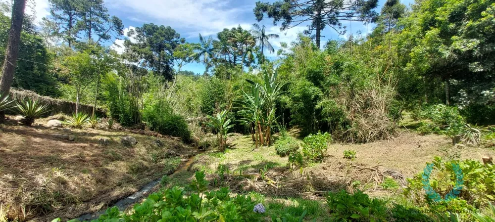 Sítio, 4 quartos, 3 hectares - Foto 7