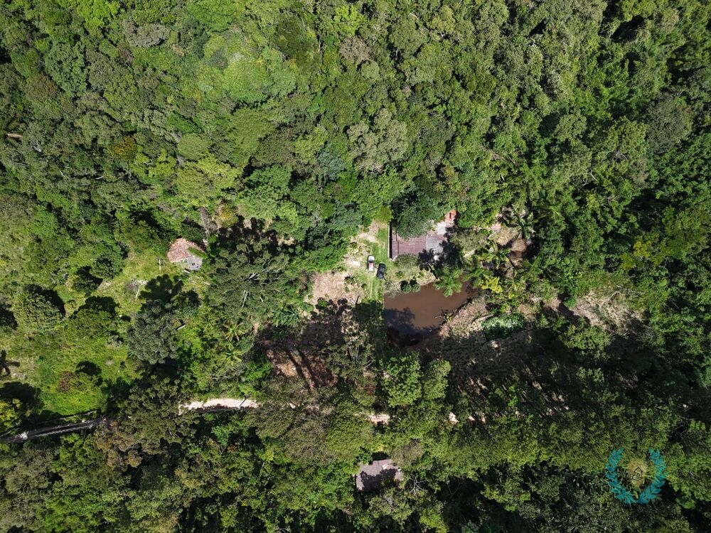 Sítio à venda com 4 quartos, 297m² - Foto 4