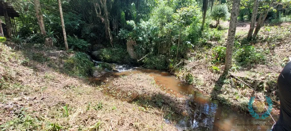 Sítio, 4 quartos, 3 hectares - Foto 9