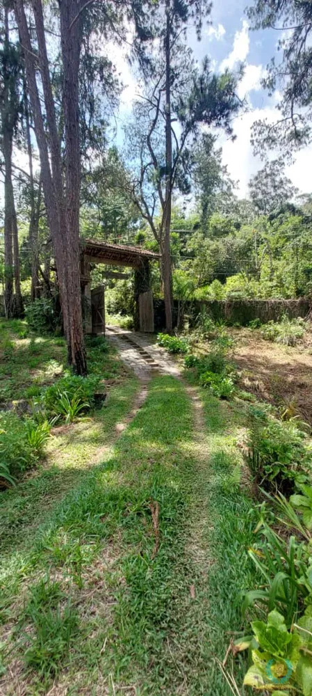 Sítio, 4 quartos, 3 hectares - Foto 11