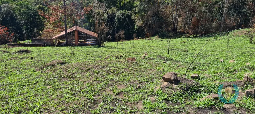 Chácara, 3 quartos, 3 hectares - Foto 19