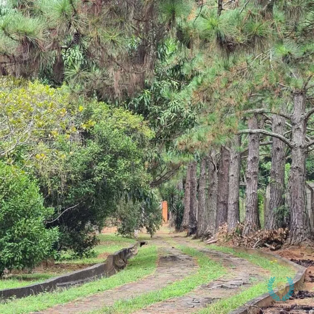 Chácara, 3 quartos, 3 hectares - Foto 4