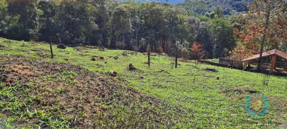 Chácara, 3 quartos, 3 hectares - Foto 20