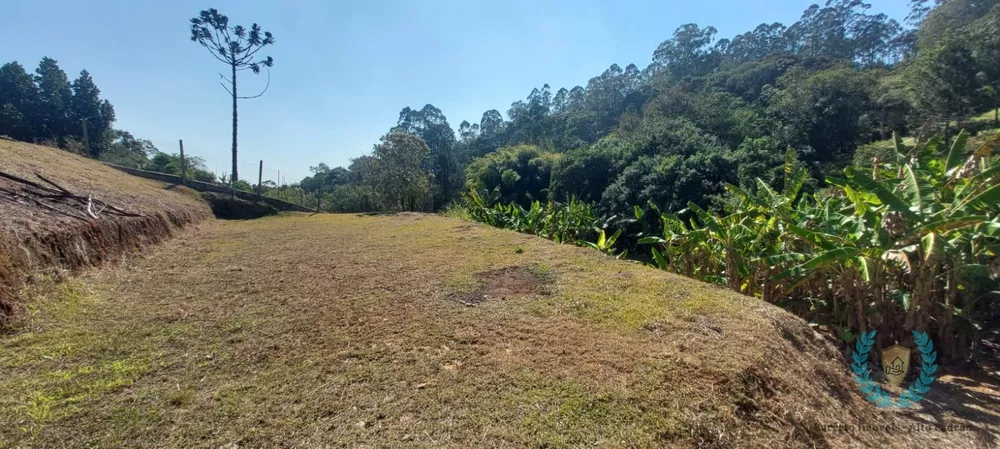 Terreno, 1580 m² - Foto 7