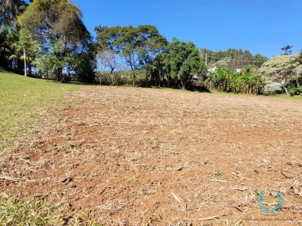 Sítio, 3 quartos, 2 hectares - Foto 8