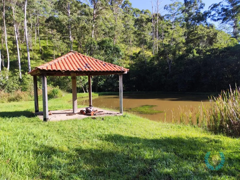 Sítio, 3 quartos, 2 hectares - Foto 4