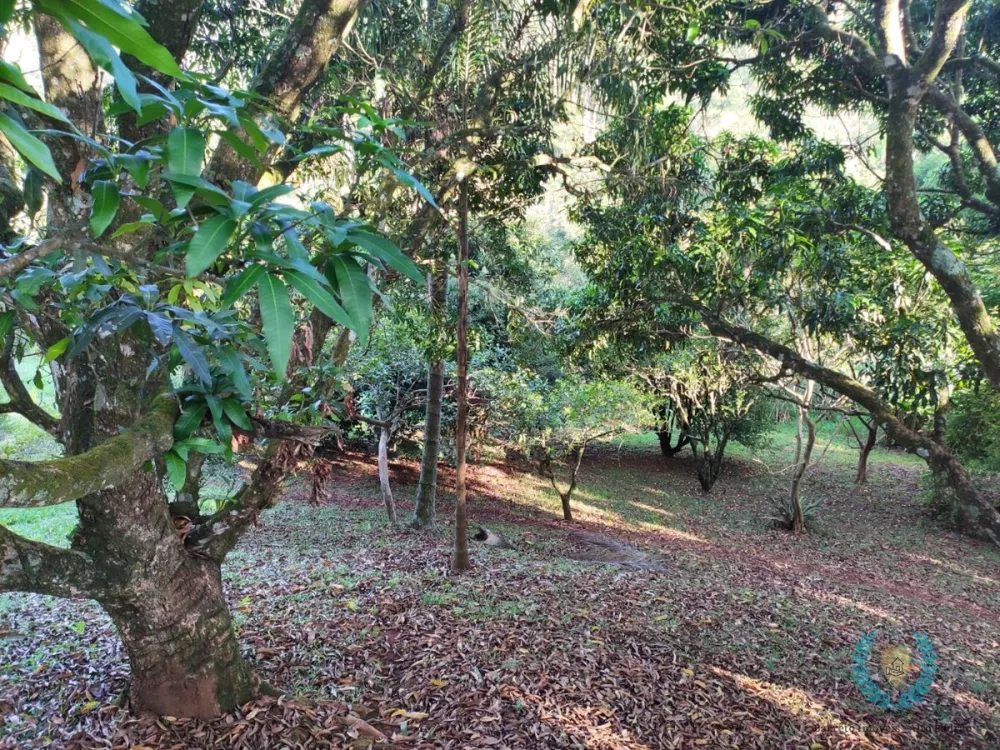 Sítio, 3 quartos, 2 hectares - Foto 6