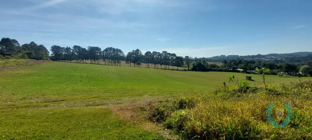 Sítio, 4 quartos, 8 hectares - Foto 11