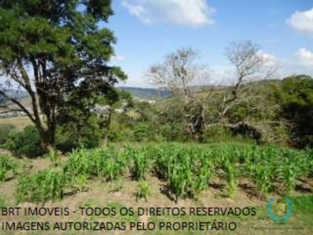 Terreno, 18 hectares - Foto 3