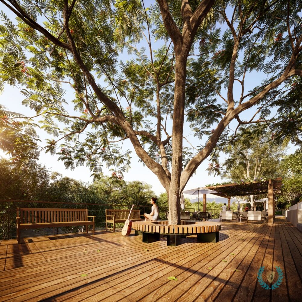 Terreno, 5 hectares - Foto 9