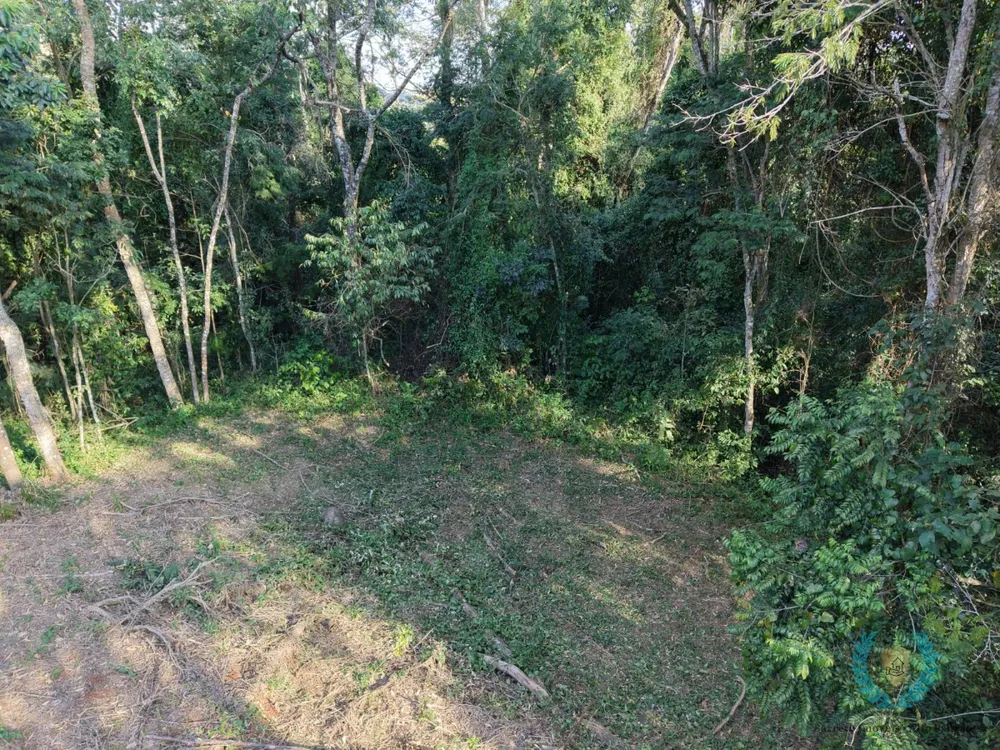 Terreno, 3265 m² - Foto 9