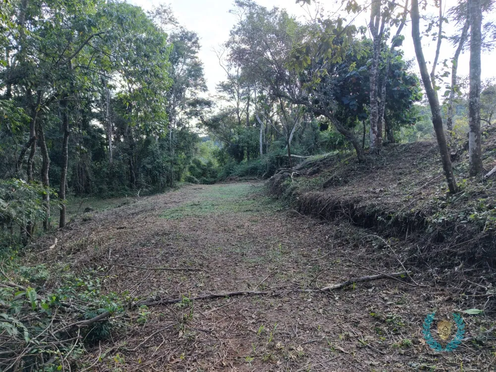 Terreno, 3265 m² - Foto 15