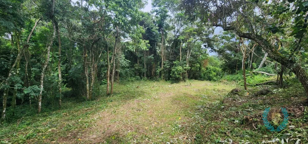 Terreno, 3265 m² - Foto 7