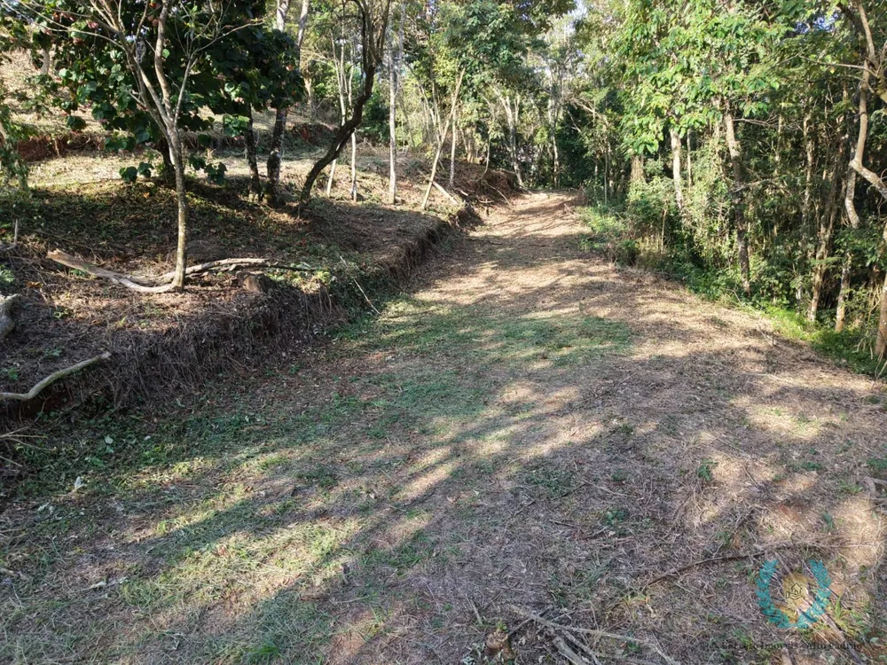 Terreno, 3265 m² - Foto 8