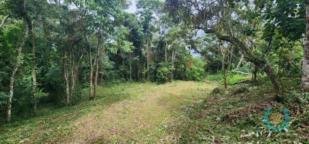 Terreno, 3265 m² - Foto 5