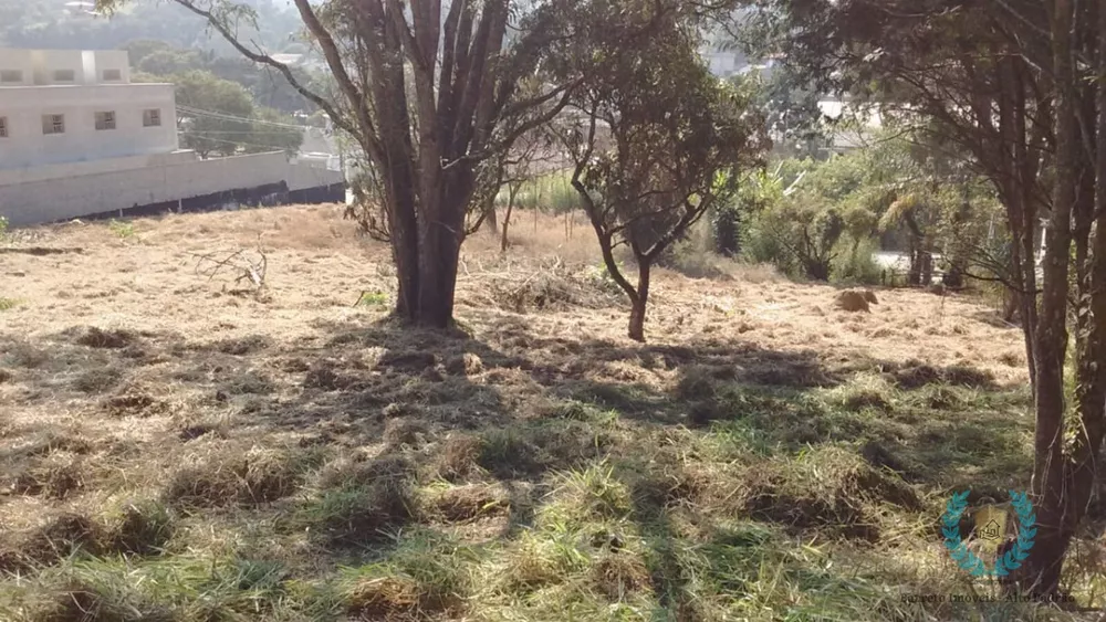 Terreno, 7854 m² - Foto 7