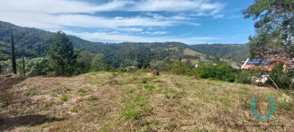 Terreno, 2639 m² - Foto 9