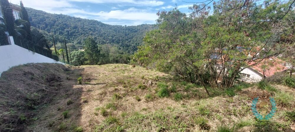 Terreno, 2639 m² - Foto 6