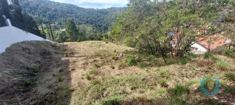 Terreno, 2639 m² - Foto 2