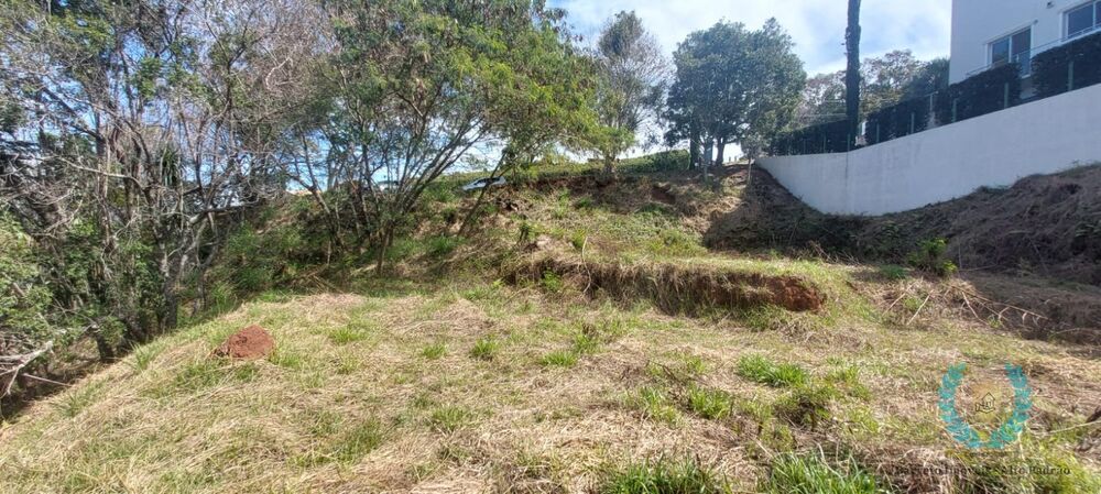 Terreno, 2639 m² - Foto 8