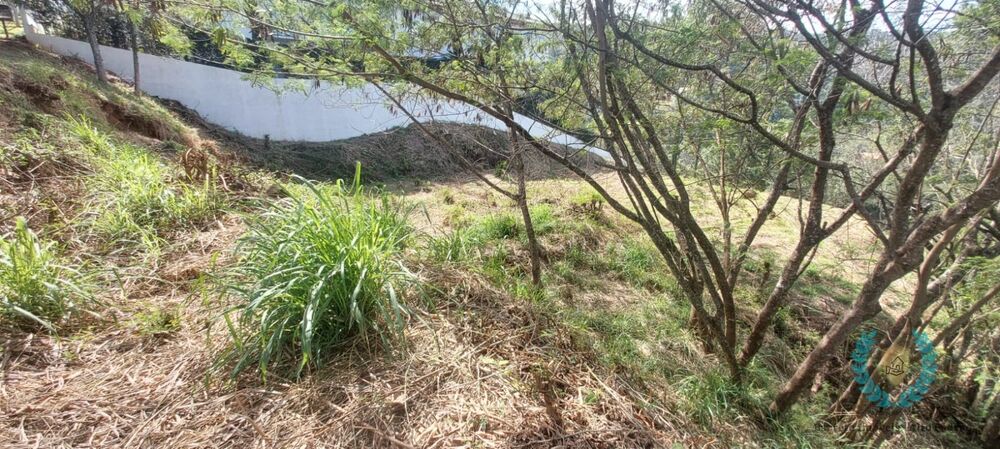 Terreno, 2639 m² - Foto 10