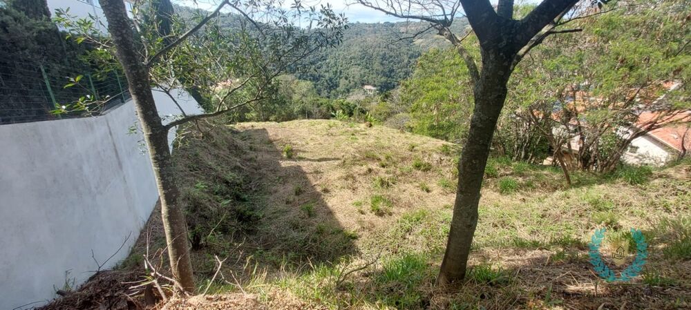 Terreno, 2639 m² - Foto 3