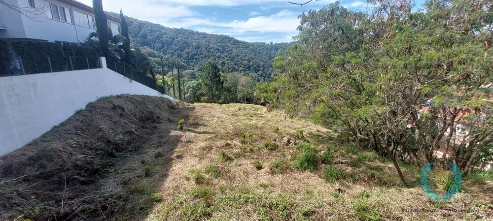 Terreno, 2639 m² - Foto 4