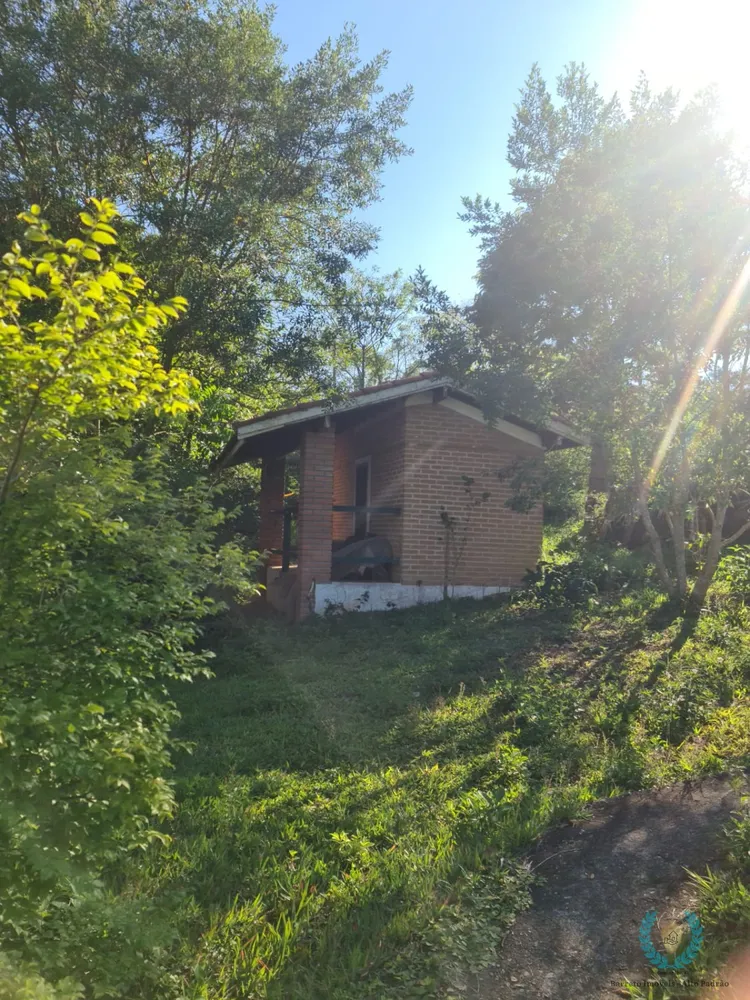 Chácara, 4 quartos, 6500 m² - Foto 6
