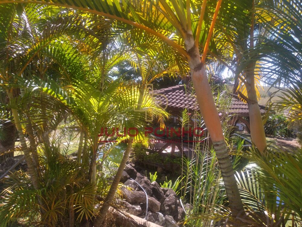 Sítio, 3 quartos - Foto 6