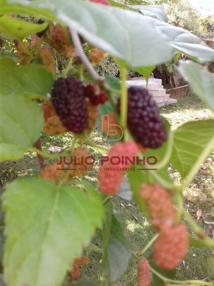 Sítio, 3 quartos - Foto 43