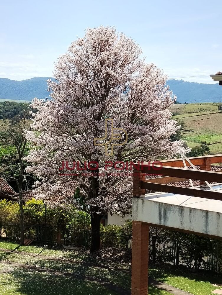 Sítio, 3 quartos - Foto 7