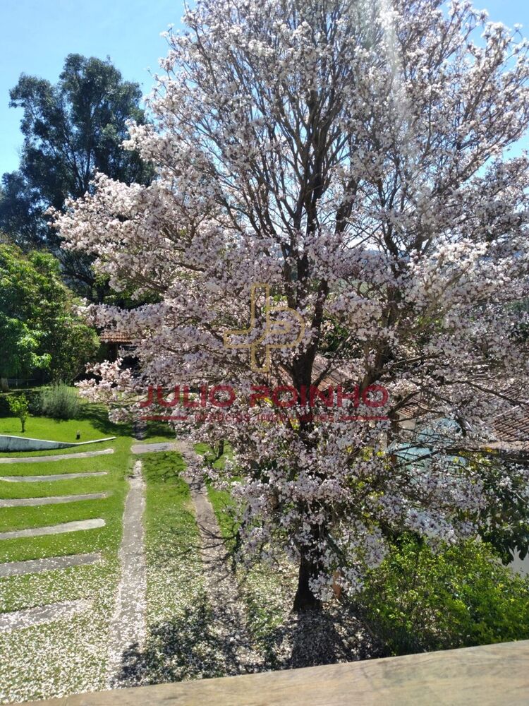 Sítio, 3 quartos - Foto 4