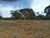 Terreno, 750 m² - Foto 1