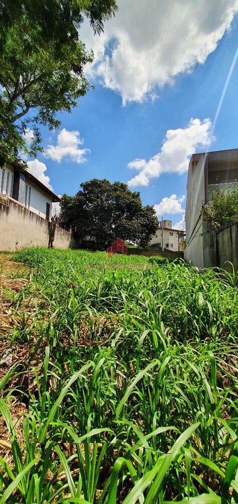 Terreno, 260 m² - Foto 7