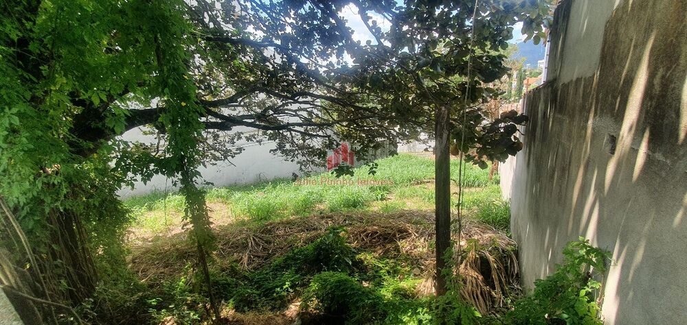 Terreno, 260 m² - Foto 8