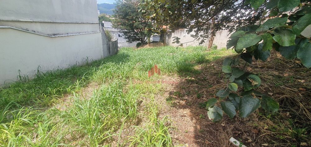 Terreno, 260 m² - Foto 5