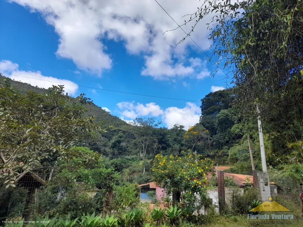 Terreno, 10 hectares - Foto 11