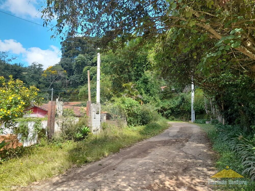 Terreno, 10 hectares - Foto 8