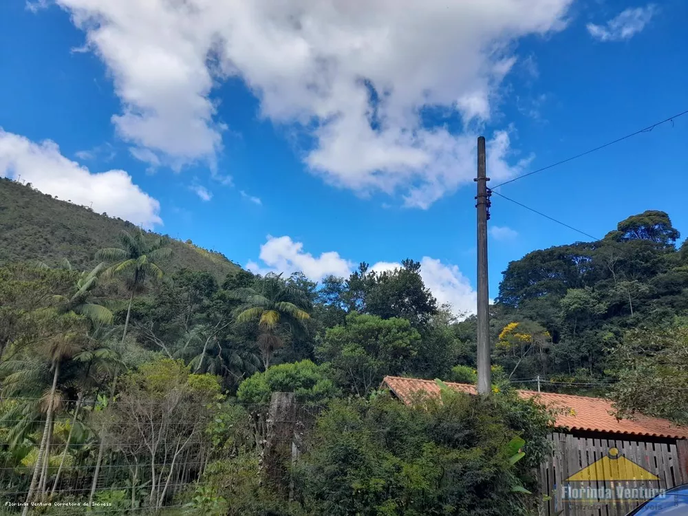 Terreno, 10 hectares - Foto 4