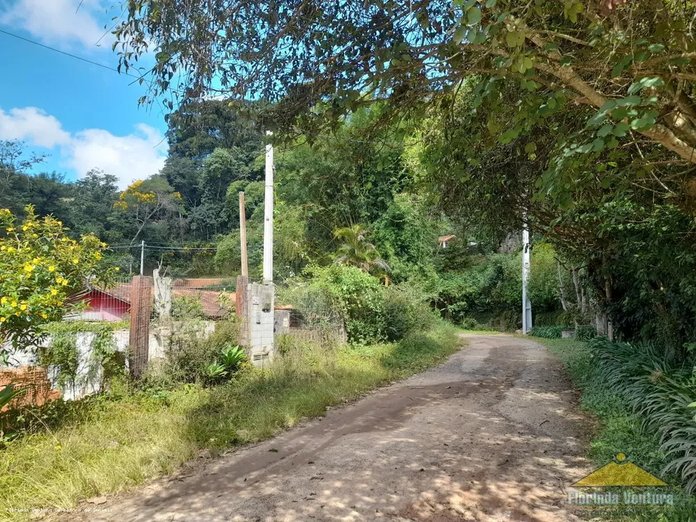 Terreno, 10 hectares - Foto 7