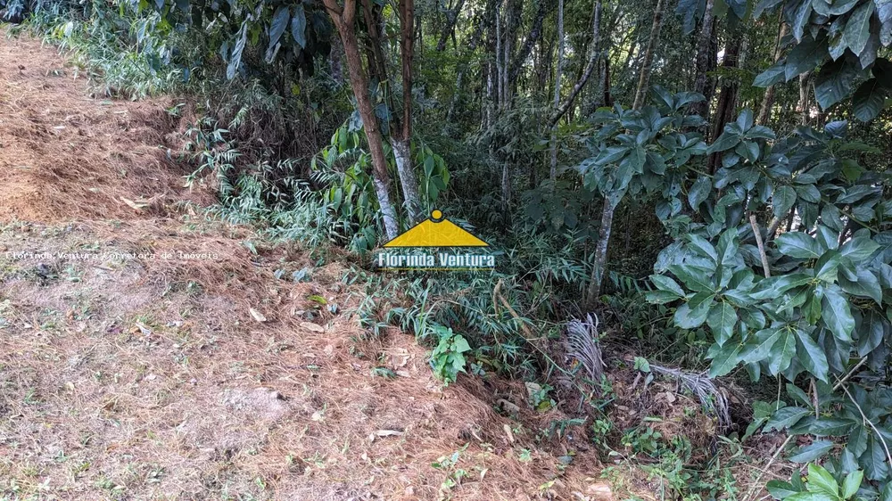 Terreno, 1556 m² - Foto 2