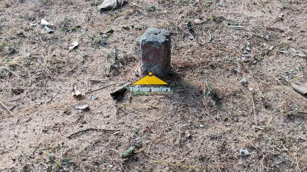 Terreno, 1556 m² - Foto 4