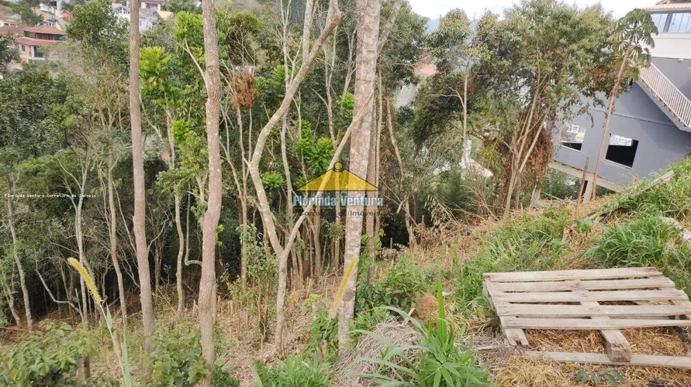 Terreno, 602 m² - Foto 15