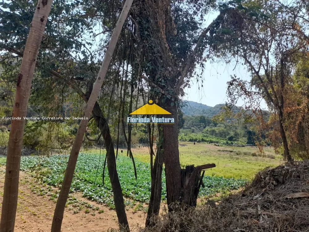 Terreno, 1519 m² - Foto 8