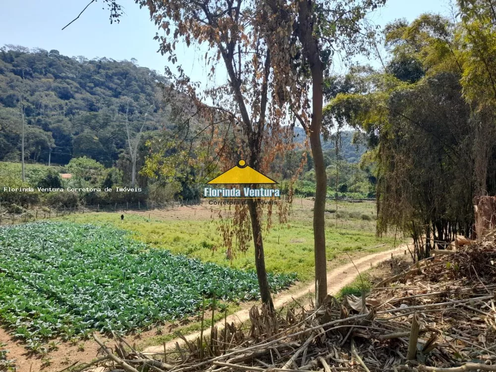 Terreno, 1519 m² - Foto 13